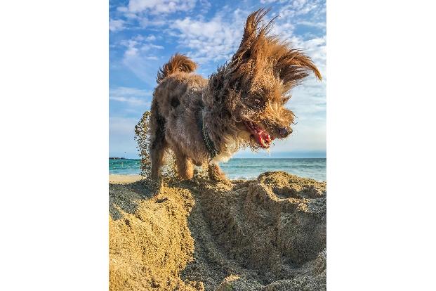 Anne-Lise-Gramstad_Lifes-a-beach_00003085.jpg