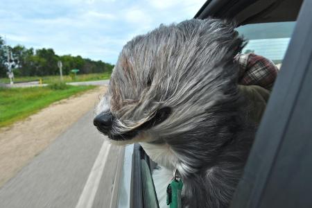 Erika-Hetzel_Windblown_00002487.jpg