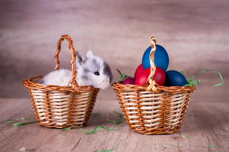 Kaninchen im Korb Ostern.jpg