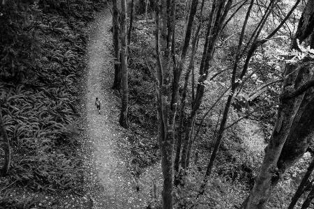 FW17_TERRADORA_Mid_1017690_5017-BW.jpg