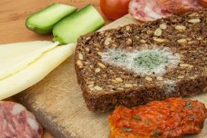 Schimmel: Kann man das noch essen?
