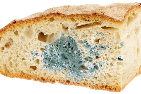 Brot Schimmel.jpg