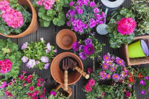 So machen Sie Balkon und Garten fit für den Frühling