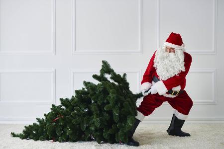 Weihnachtsbaum Westend61.jpg