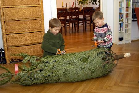 6_Netz entfernen Weihnachtsbaum Schöning.jpg