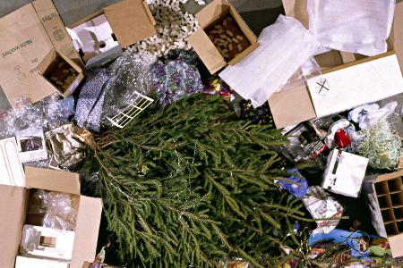 9_Weihnachtsbaum imagebroker theissen.jpg