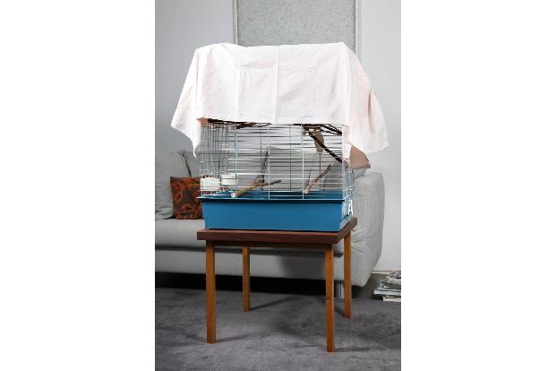 7_Vogelkäfig blickwinkel.jpg