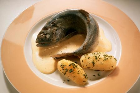 Krebs, Ernährung, Fisch