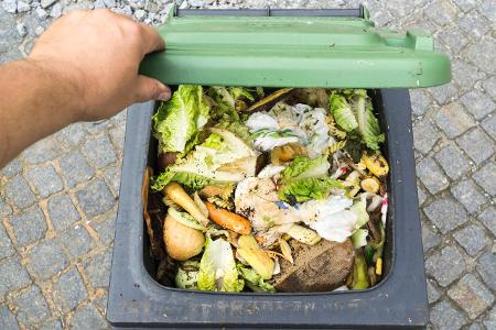 So werden Sie Fruchtfliegen los Biomüll