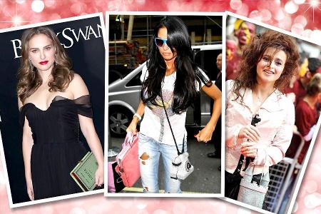 taschen stars
