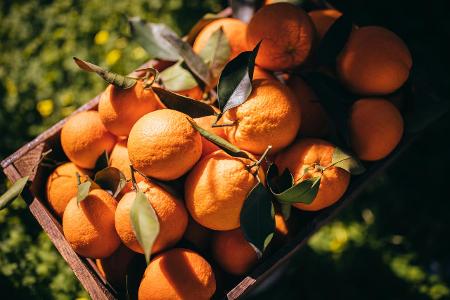 Können Sie diese Lebensmittel erkennen? Orangen