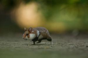 Die besten Naturfotos 2013!