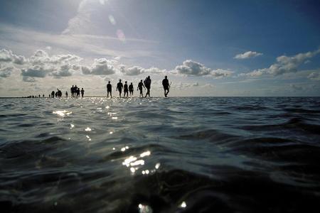 Wattenmeer