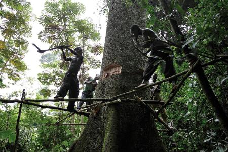Kongobecken
