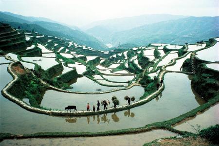 Jangtsekiang
