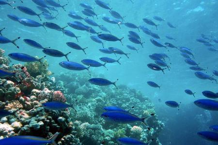 günstigste städte sharm el sheikh ägypten
