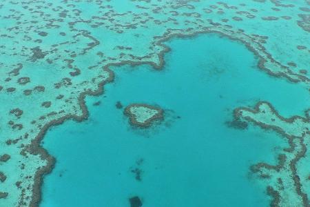 welt von oben Great Barrier Reef Australien