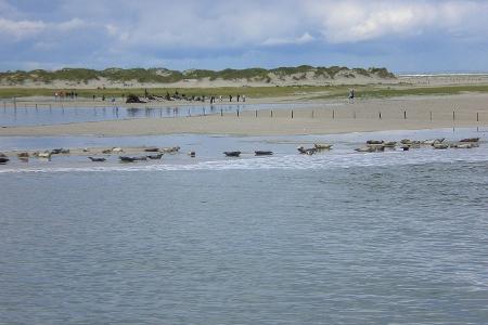 Baltrum