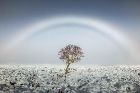 Scott Robertson - Calmer Fogbow.jpg