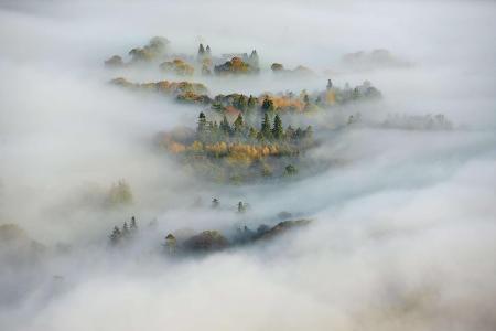 Paul Kingston - Autumnal Fog.jpg