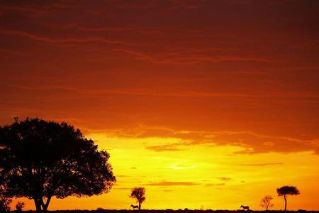 schönste Sonnenuntergänge