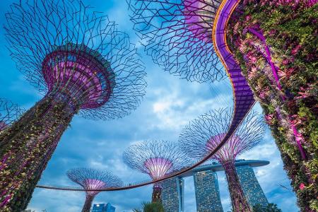 Platz sieben geht an die Mega-Metropole Singapur. Wer hinfährt sollte in den Gardens by the Bay. 25 bis 50 Meter hohe Baumko...