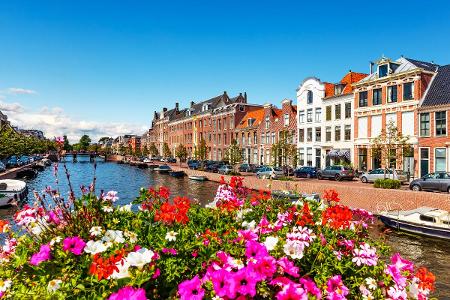 Niederlande Haarlem Getty Images.jpg