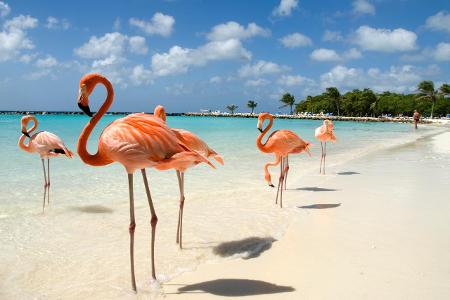Aruba getty Images.jpg