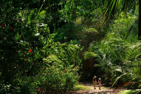 Costa Rica getty Images.jpg