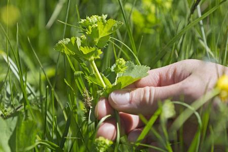 Survival Tipps: So überleben Sie in der Wildnis