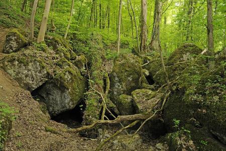 Survival Tipps: So überleben Sie in der Wildnis