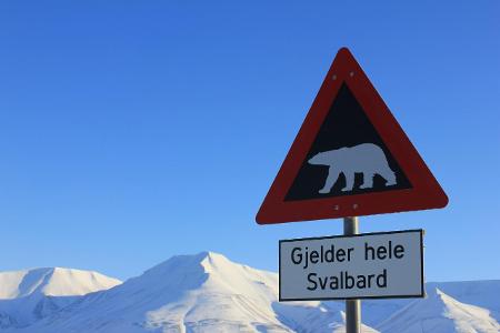 Eisbär© rupprich media AdobeStock.jpeg