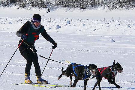 extreme Wintersport arten