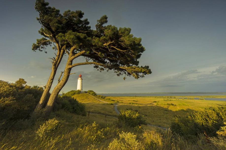 Rügen, Bornholm, Gotland die SonnenInseln der Ostsee