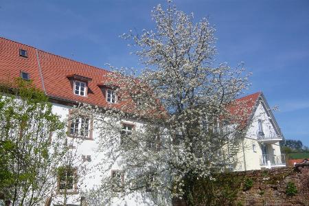 Rosenthaler Hof