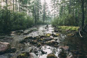 Survival Tipps: So überleben Sie in der Wildnis