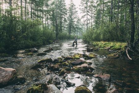 Survival Tipps: So überleben Sie in der Wildnis
