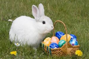Wasserschlacht und Co.: Das sind Europas Osterbräuche