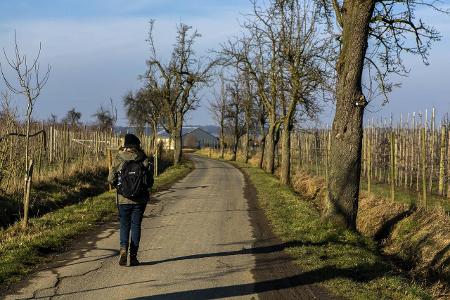 Wandern_Manngold.jpg