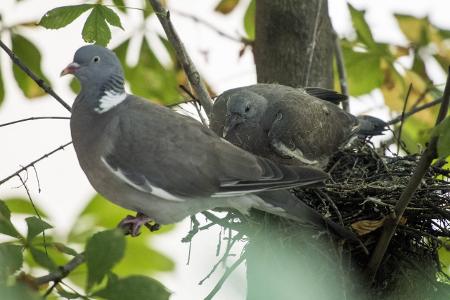 imago79806544h.jpg