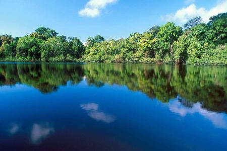 Stille Gewässer in Tortuguero