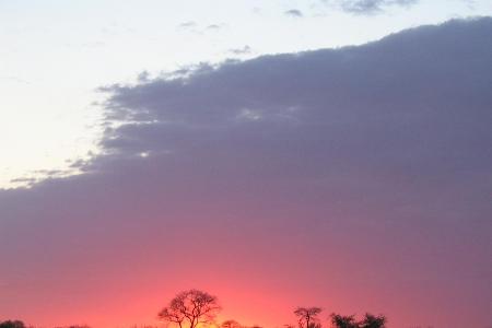 Platz 8: Südliches Afrika mit Südafrika, Botswana, Namibia