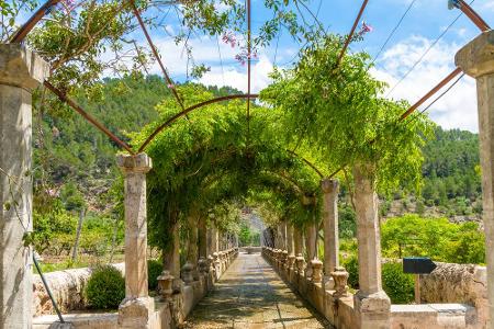 Die Jardines de Alfabia nahe der Gemeinde Sóller im Nordwesten sind nicht nur für Naturliebhaber ein absolutes Highlight. Di...