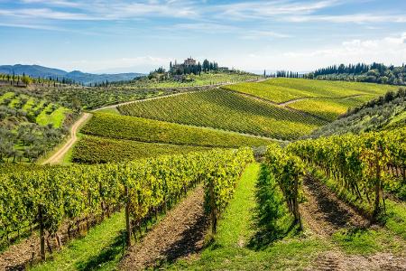Chianti Toskana getty Images.jpg