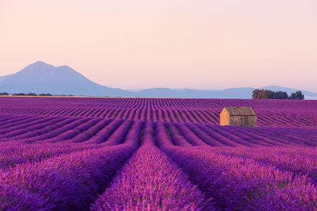 Provence getty images.jpg