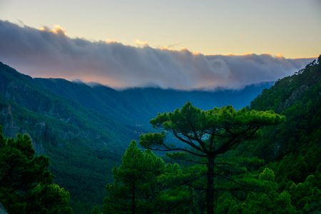 Mirador de la Cumbrecita, La Palma © hellocanaryislands.png