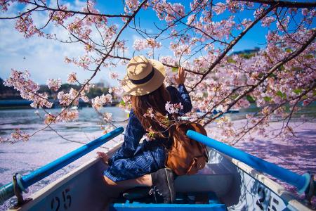 Teaser Kirschblüte japan Frau Getty.jpg