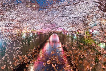 Meguro Kanal in Tokio.jpg