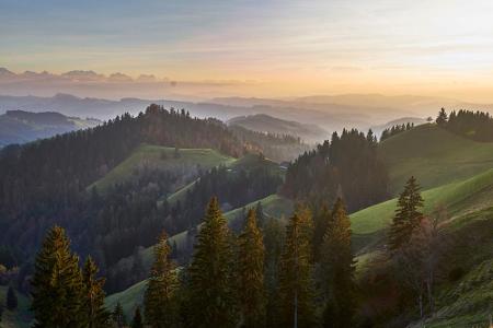 Der Emmentaler ist nach einer Hügellandschaft im Schweizer Kanton Bern benannt - dem malerischen Emmental. Allerdings ist de...