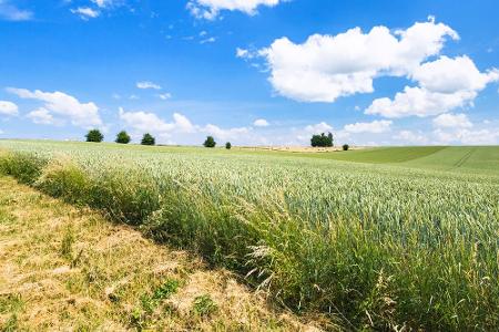 An dieser Partnerschaft ist auch Y in nordfranzösischen Region Picardie beteiligt. Die kleine Gemeinde zählt nur um die 100 ...